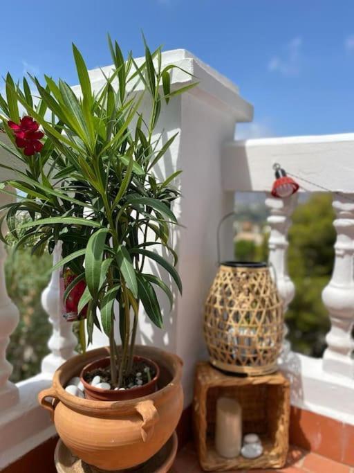 נרחה Precioso Apartamento Mandarinos Con Vistas Al Mar מראה חיצוני תמונה